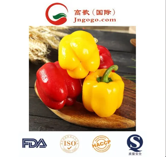 Fresh Vegetables and Fruits Red Chili Pepper Cheap Price