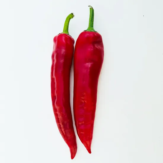2024 New Crop Fresh Chili with Cheap Price