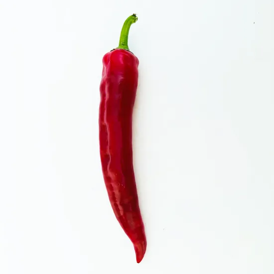 China Origin Fresh Red Yellow Chili Pepper Exported to Central Asia