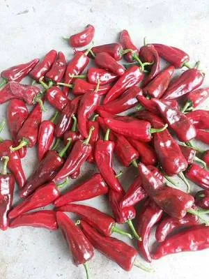 Whole Spicy Red Peper Hot Chili