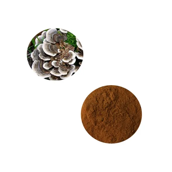 Turkey Tail Mushroom Extract Powder Liver Protection Supplement Health Food