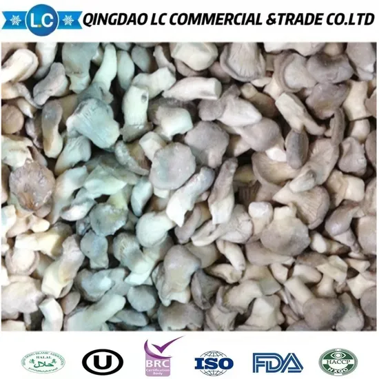 Sale Frozen Oyster Mushrooms for Buyers