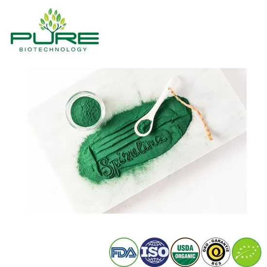 Premium Spirulina Powder: Organic Vegan Superfood for Smoothies