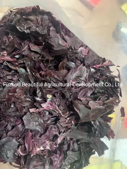 Rhodymenia Palmata Red Algae Flakes