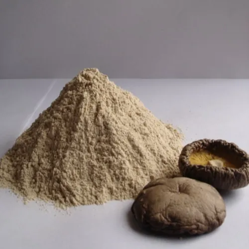 Wholesale China Dried Shiitake Mushroom Powder 80-100 Mesh