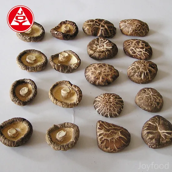 Manufacturer Price Health Food Unique Taste Delicious Dried Shiitake Mushroom
