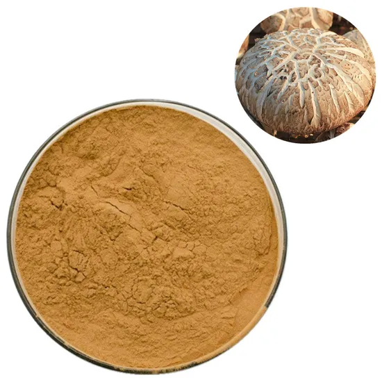 Shiitake Mushroom Extract Brown Fine Powder Anti Cancer