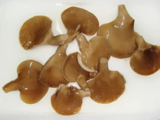 Sterilization Canned Abalone Mushroom