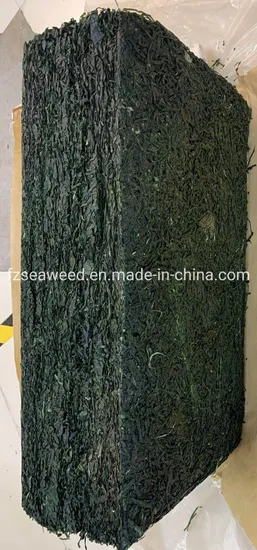 Dried Sea Vegetable Laminaria Japomica Cut for Sale Factory Price