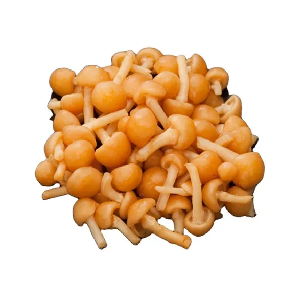 Spicy Salted Food Preservative Vegetable Canned Sliced Mushroom