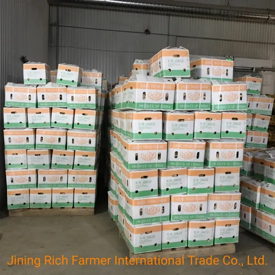 China Leading Ginger Brand Air Dried Ginger 200g up