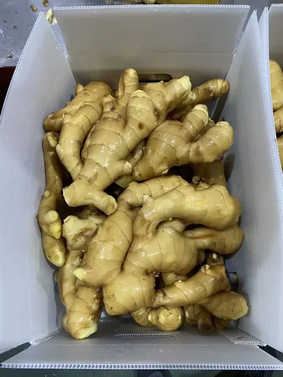 Hot Sales Fresh Mature Ginger for European Market
