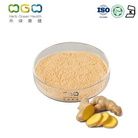 China Manufacturer Supply Seasoning Bulk Price Zingiber Officinale Vegetable Powder Ginger Root Powder