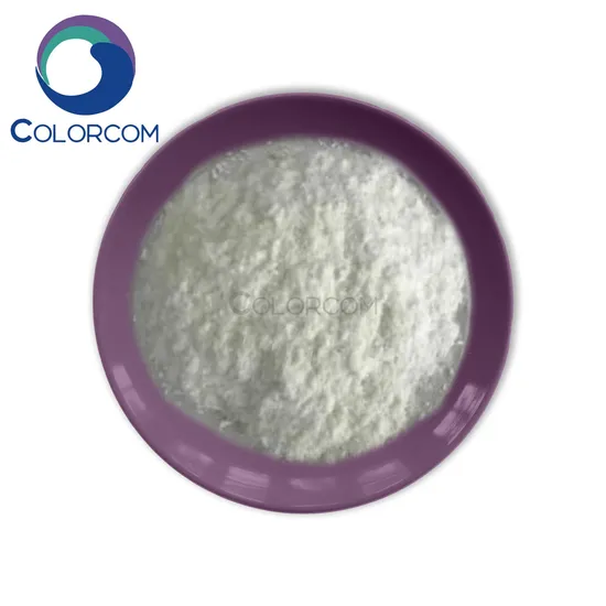 Dehydrated Ginger Powder Healthy Diet