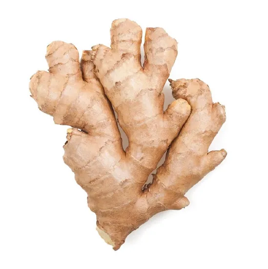 Hot Sales Chinese Fresh Spicy Mature Ginger for European Market