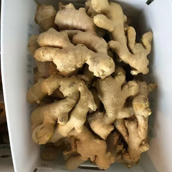 High Quality Dried Ginger Factory Price