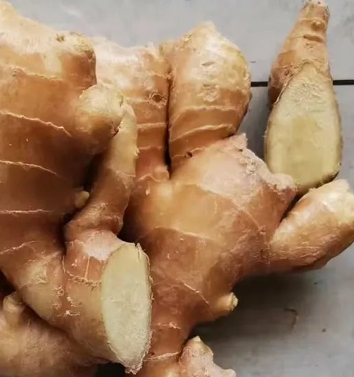 Wash Fresh Ginger Air Dry Ginger Plenty of Stocks