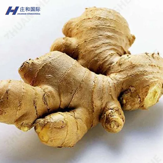 Non - GMO, Ginger, Produced in Shandong, with a Spicy Taste, Golden Color