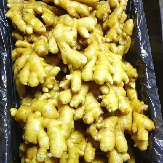 Chinese Shandong Organic New Fresh Crop Yellow Air Dried Ginger Dehydrated Sushi Ginger Slice up 150g