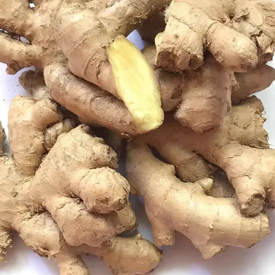 High Quality Ginger - Freshly Harvested Ginger From Shandong Farms
