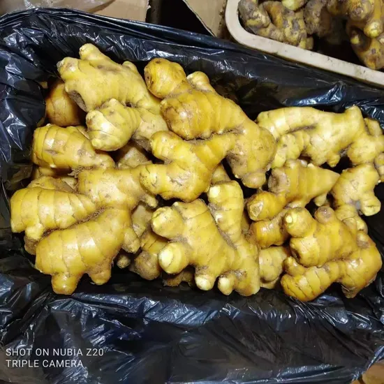 Chinese Shandong Vegetabies New Crop Yellow Air Dried 250g Bulk Ginger