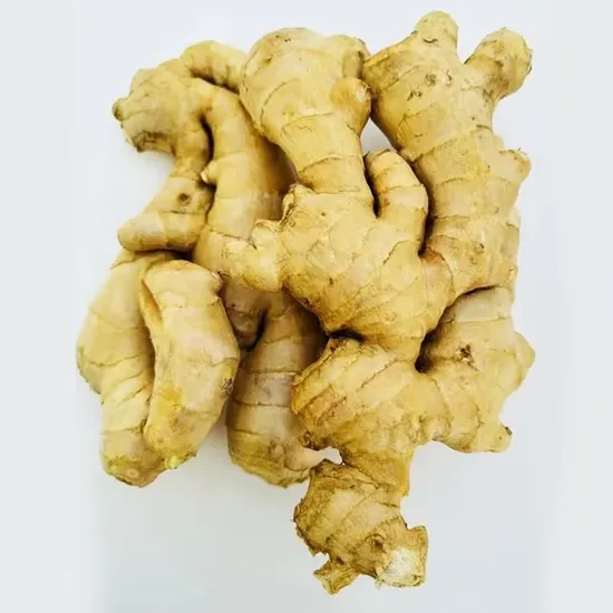 High Grade Ginger - Organic Ginger From Shandong for Bulk Sale