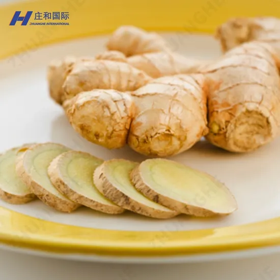 Strictly Selected, High - Quality Chinese Vegetables Export and Wholesale: Fresh Ginger