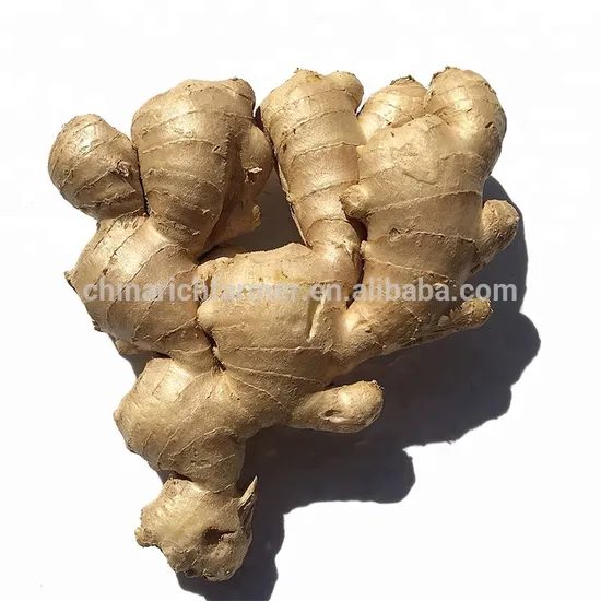 Wholesale Fresh Ginger Price From China