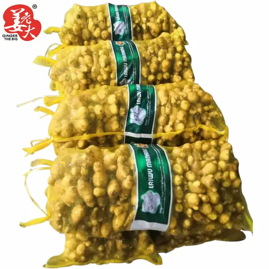2024 New Crop Wholesale Chinese Ginger Fresh Young Frozen Vegetable Food Air Dried Pickled Dehydrated Organic Organic Yellow Ginger From North China