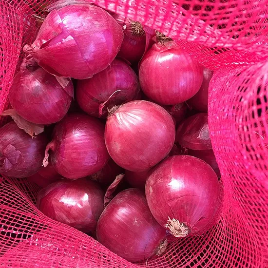 Fresh Red Onions Bulk Packing 20kg Mesh Bag