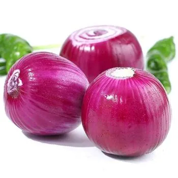 Hot Sale High Quality in Bulk Price Onion with International Certification Onion