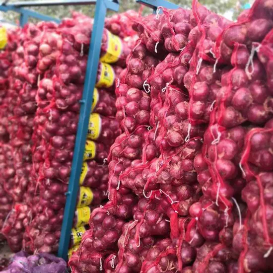 Fresh Red Onion Importers Fresh Vegetables Onion