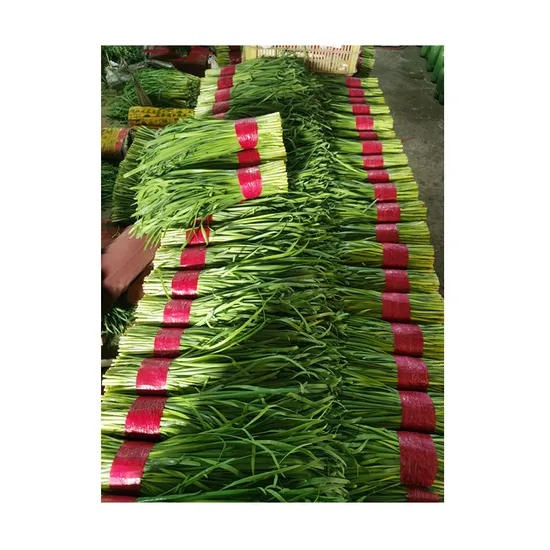 Vegetables Fresh Green Chinese Chives Good Quality Allium Tuberosum