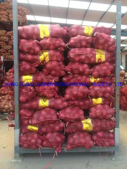 New Crop Fresh Red Onion Fresh Red Skin Onion China Fresh Shallot Peeled Onion 3-7cm, 5-8cm, 7-9cm, 9cm & up Pack in 10kg, 20kg, 5kg Mesh Bag Good Onion Peeled