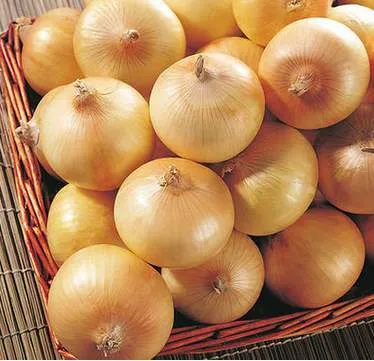 Chinese High Quality Fresh Yellow Onion