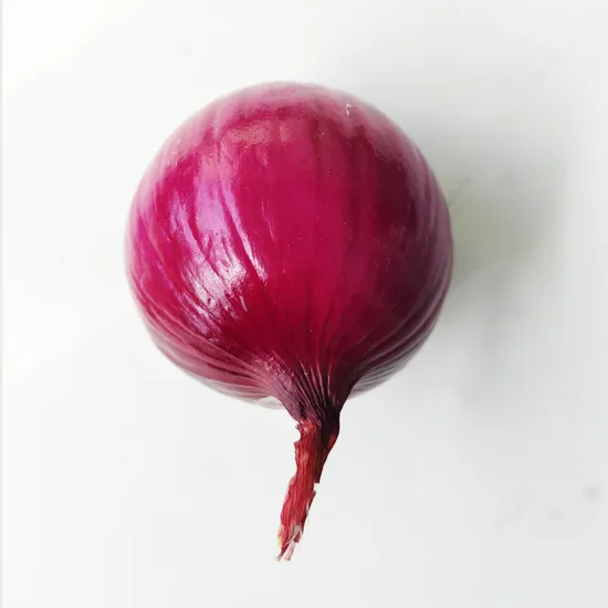 Wholesale China New Crop Fresh Yellow/Red Onion with Good Price
