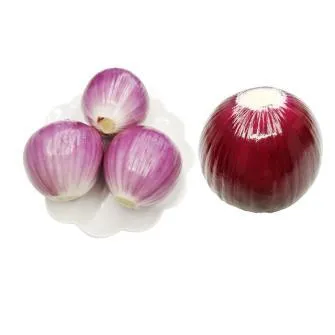 High Quality China Shandong Wholesale Price Red Onion