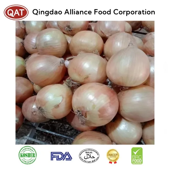 Premium Fresh Yellow Pearl Onions - EU Quality Standards