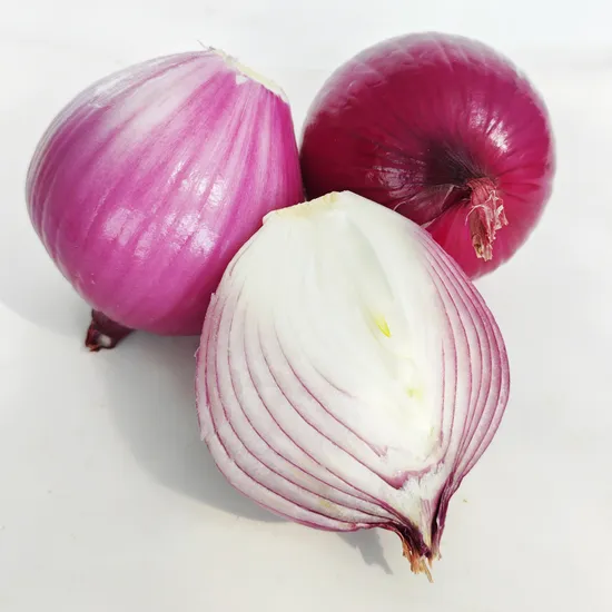 2024 China New Fresh Crop Onion