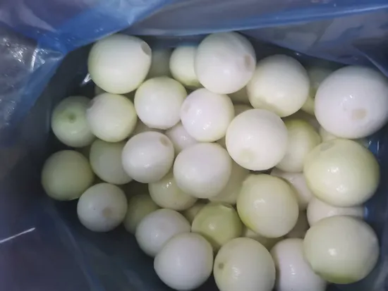 Golden Supplier Fresh Onion (9 cm and up)
