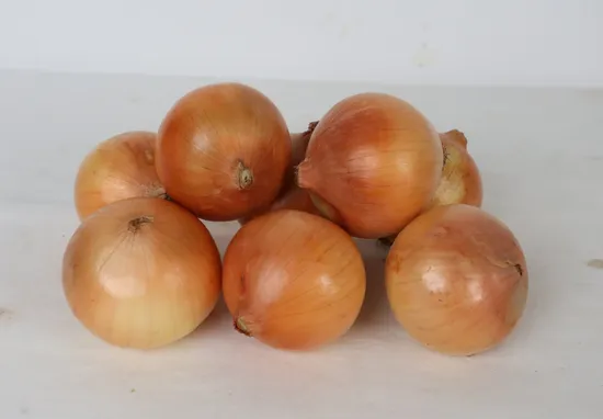 Supplier of Onion Natural China New Crop Yellow Onion Red Onion