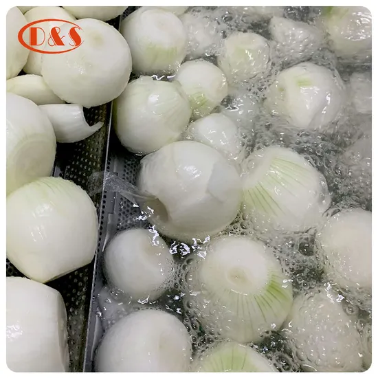 China Vegetables IQF Onion Frozen Peeled Chunk/Dice/Slice Onion with Factory Price
