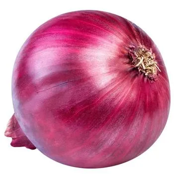 Natural Produce Hot Sale High Quality in Bulk Fresh Peeled Onion