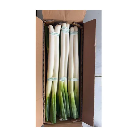 Hot Selling Factory Directly Sell Fresh Green Chinese Onion