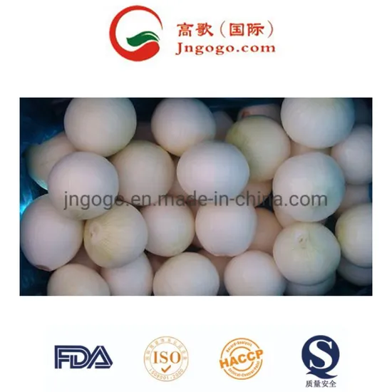 Fresh Red Onion From China for Export