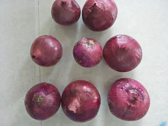 5-8cm Shandong Small Packing Big Fresh Onion