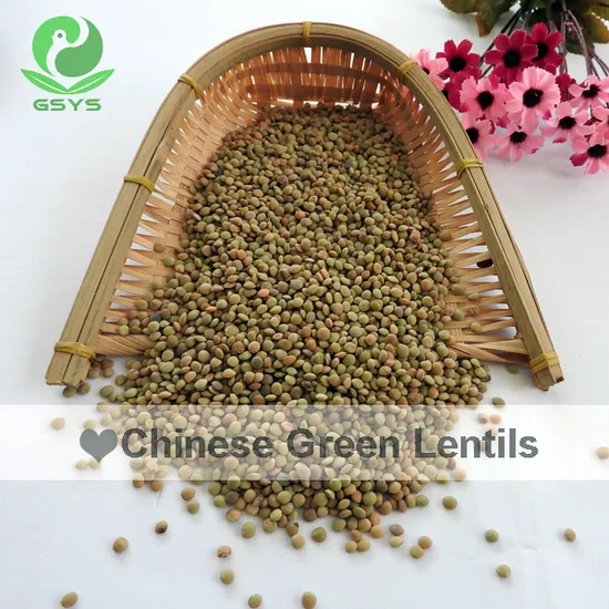 Chinese Organic Lentils Quality Green Lentils Hot Sale