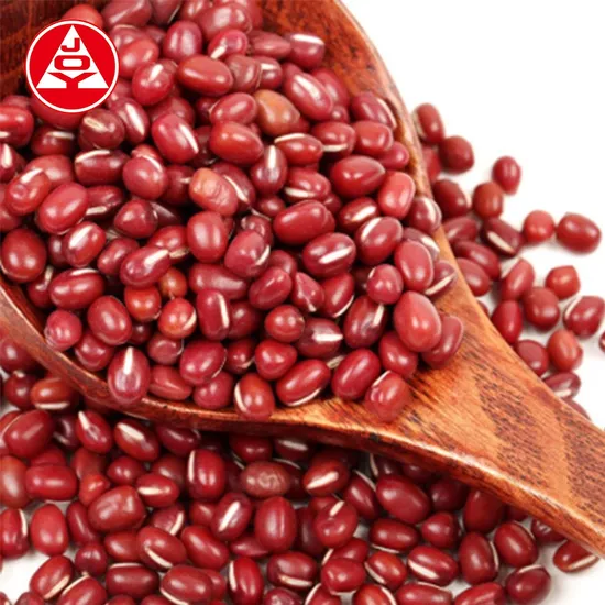 China Supplier Food Vegetable Freeze Dried Small Red Beans in Various Sizes