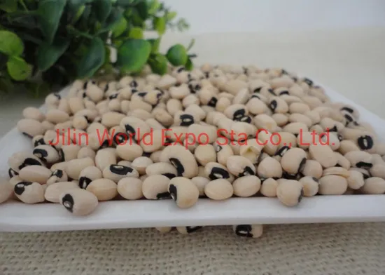 Wholesale Dried Cowpeas for Food From China to Export