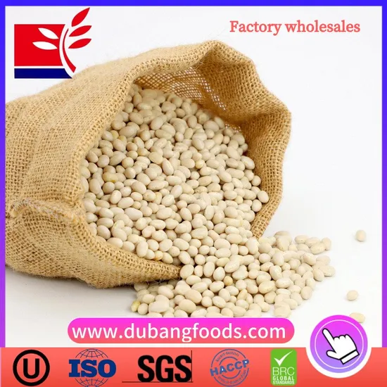 Wholesale Dried White Kidney Beans for Food From China Factory